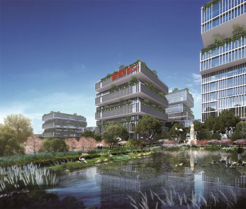 稳健前行，共筑绿色未来—德才股份2024年ESG实践成效