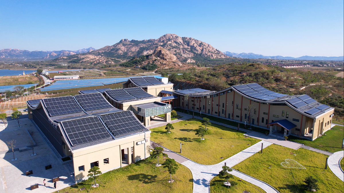 葡萄节里看振兴，德才股份执笔绿色设计筑梦大泽山乡村振兴